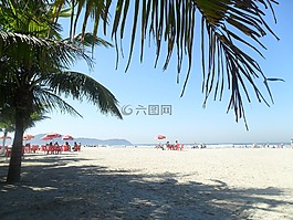 景觀,海灘,性質(zhì)