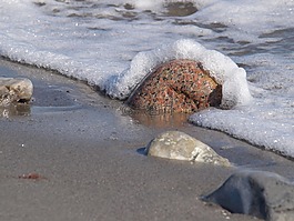 海,石,泡沫