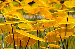 板,黄色,花园