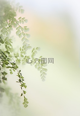 春天,光,性質(zhì)