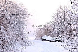 冬天,雪,冰