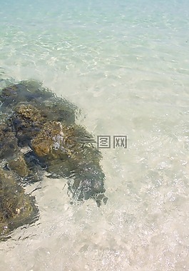 海,海灘,水