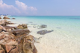 海,海灘,島