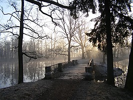 公園,池,春
