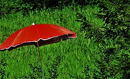 陽(yáng)傘,紅色,性質(zhì)