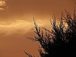 日落,天空,云