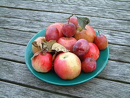 蘋果,李子,水果