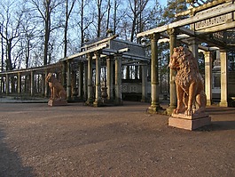 獅子,上午,公園