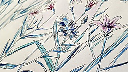 艺术,画,perokresba