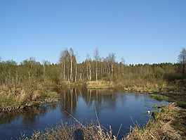 河,池,樹