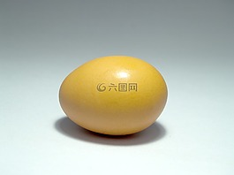 雞蛋,粉紅色,市場(chǎng)
