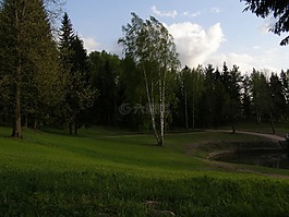 晚上,春,公園