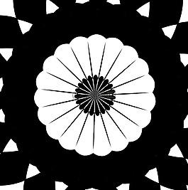 黑色,白,抽象