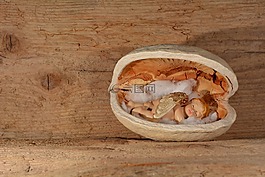 天使,堅(jiān)果,核桃