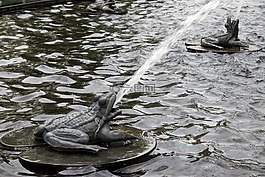 青蛙,噴泉,水