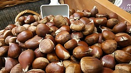 榛子,坚果,榛树
