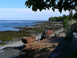 海岸線,水,巖
