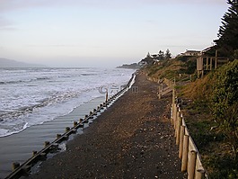 海岸,潮,海洋
