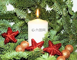 一品红,圣诞节,圣诞节装饰