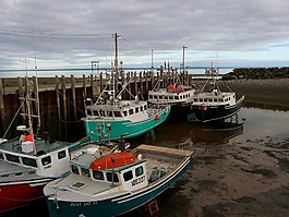 釣魚,船,大西洋