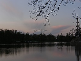 春,樹,公園