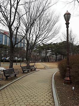 冬季,木材,天空