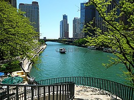 芝加哥,河,城市