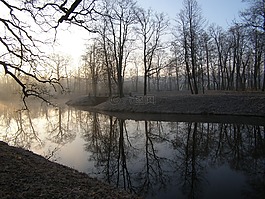 公園,池,春