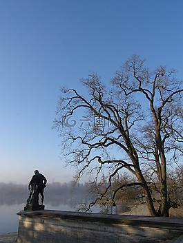 上午,天空,公園