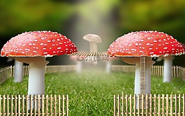 花園,幻想,想象力