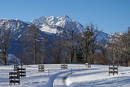 雪,冬天,自然