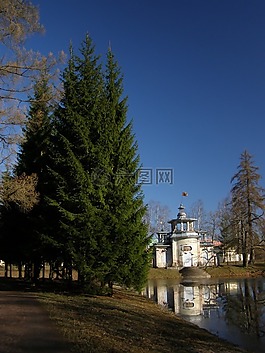 上午,天空,公園
