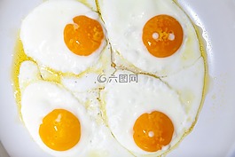 泛,雞蛋,蛋白質