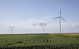 風力渦輪機,原野,農(nóng)場