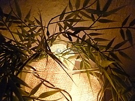 光,裝飾,照明