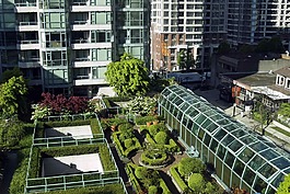 屋顶,花园,植物