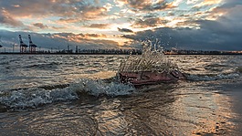 水域,海,海灘