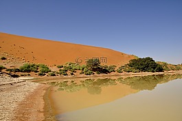 沙漠,沙丘,水