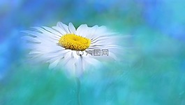 性質,夏季,光明