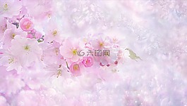 性質,花,廠
