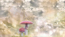蘑菇,秋季,森林