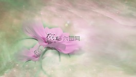 開花,花,廠