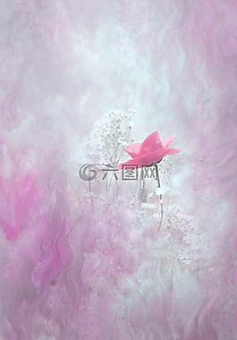 開(kāi)花,花,廠