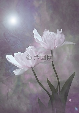 花,廠,性質(zhì)