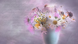 花園,紫,鮮花