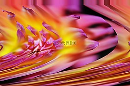 花,流,紫