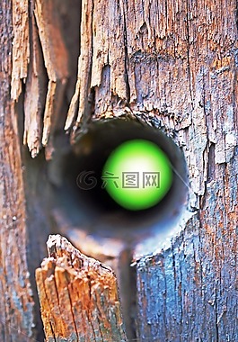 籬笆,木,孔
