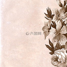 背景,剪貼簿,紙