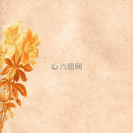 背景,剪貼簿,紙