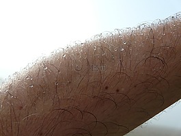 臂,皮膚,頭發(fā)